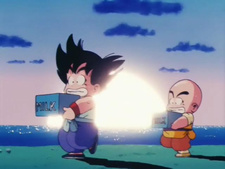 Dragon Ball